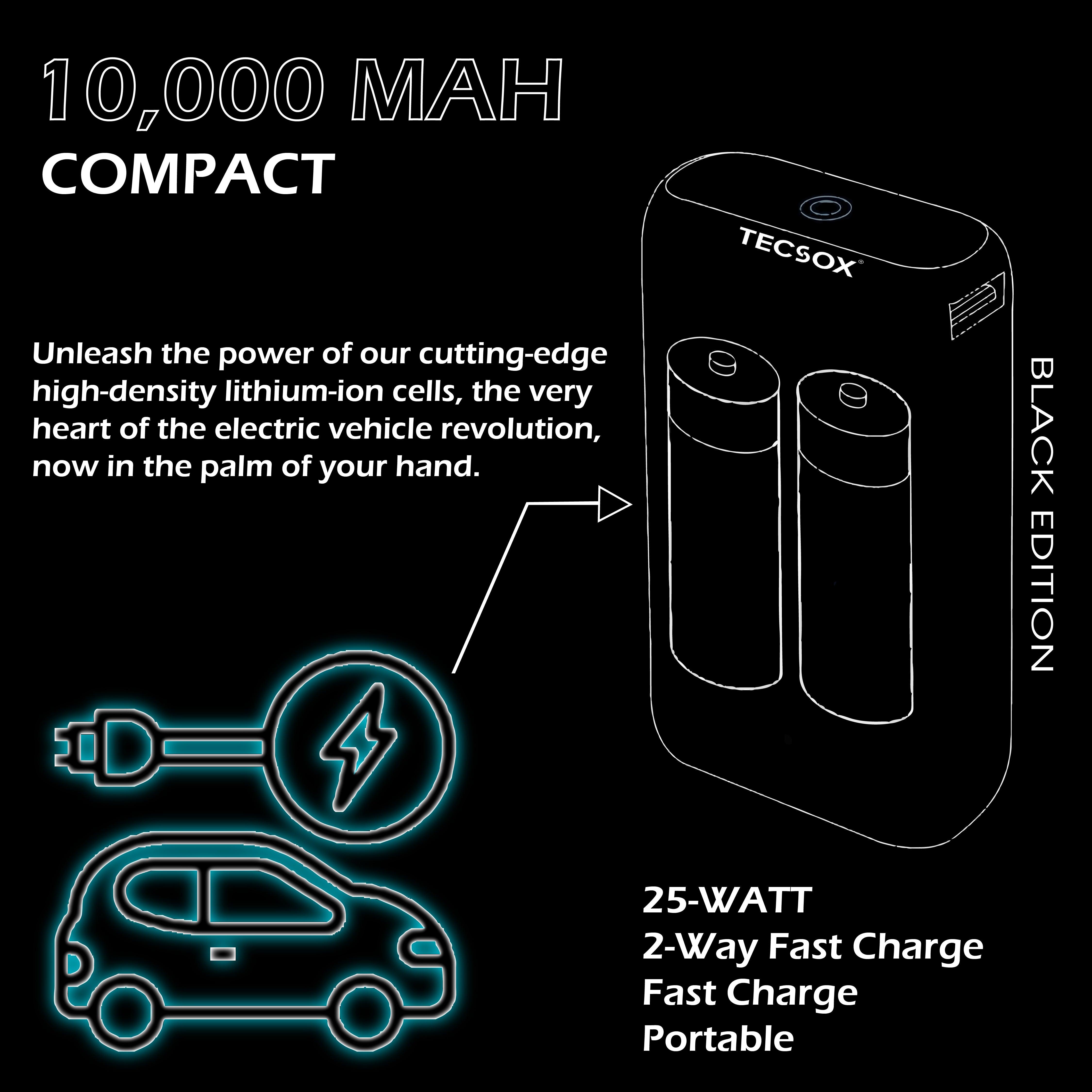 TECMARX 25W PD Powerbank | 10000 mAh Fast Charging | Attached Type C Cable - TECMARX